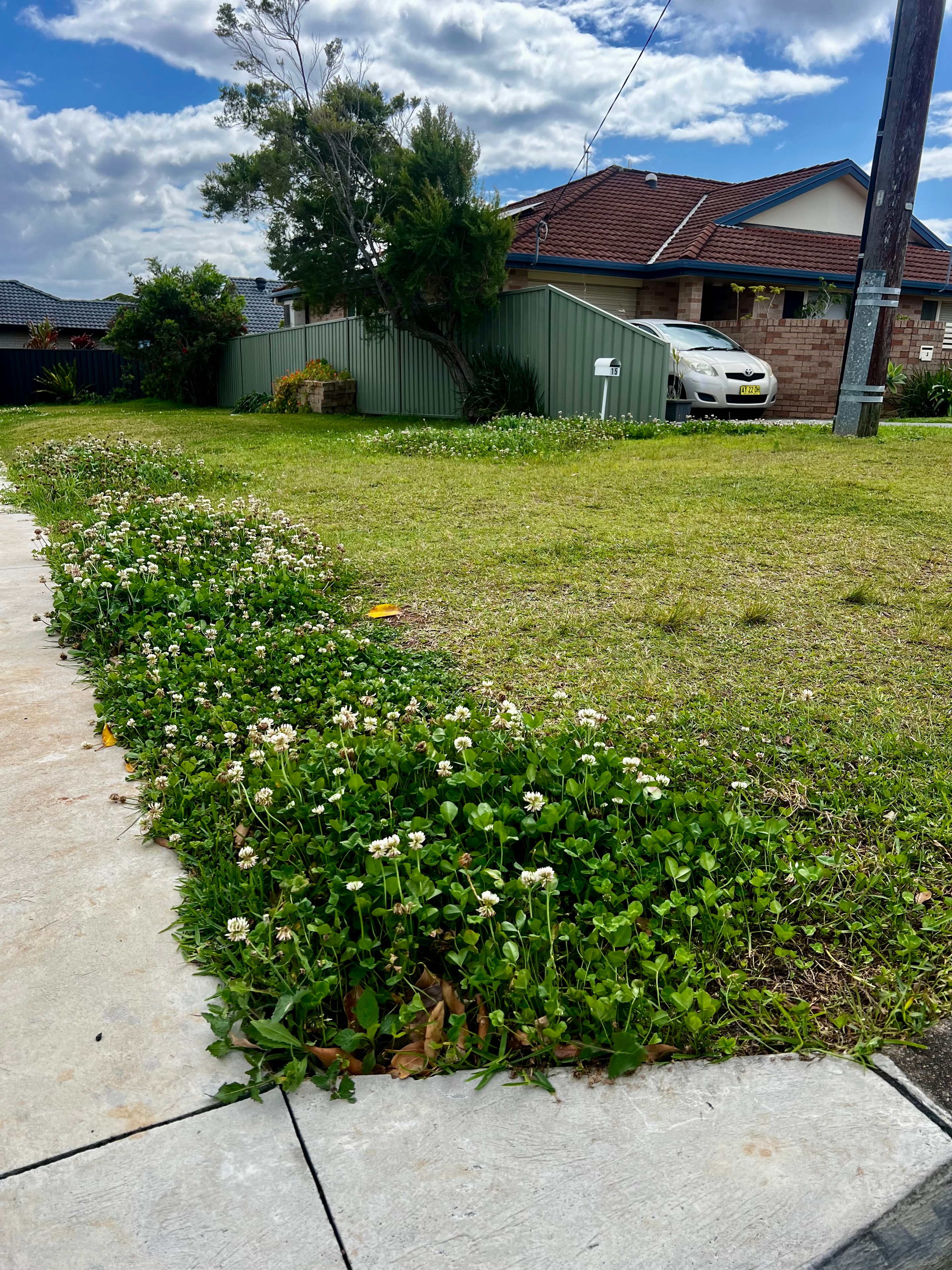 Before — Lawn Care in Port Macquarie